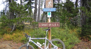 At the top of the first climb, this sign shows the cross country ski trails. Go right here.